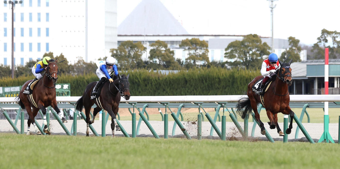 逃げ切って白梅賞を制したカルロヴェローチェと福永騎手（撮影・白石智彦）