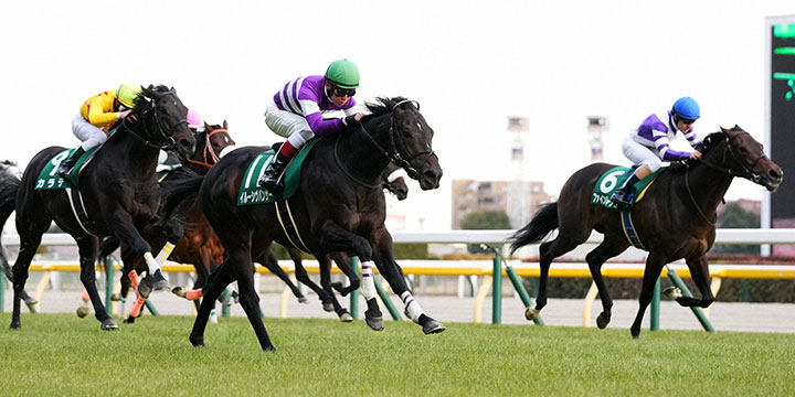 東京新聞杯を快勝したイルーシヴパンサーと田辺騎手＝2022年2月6日、東京競馬場