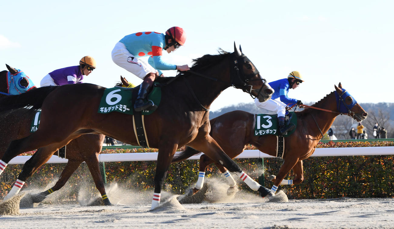 根岸Sで2着に敗れたギルデッドミラー（左）、右は勝ったレモンポップ（撮影・柴田隆二）
