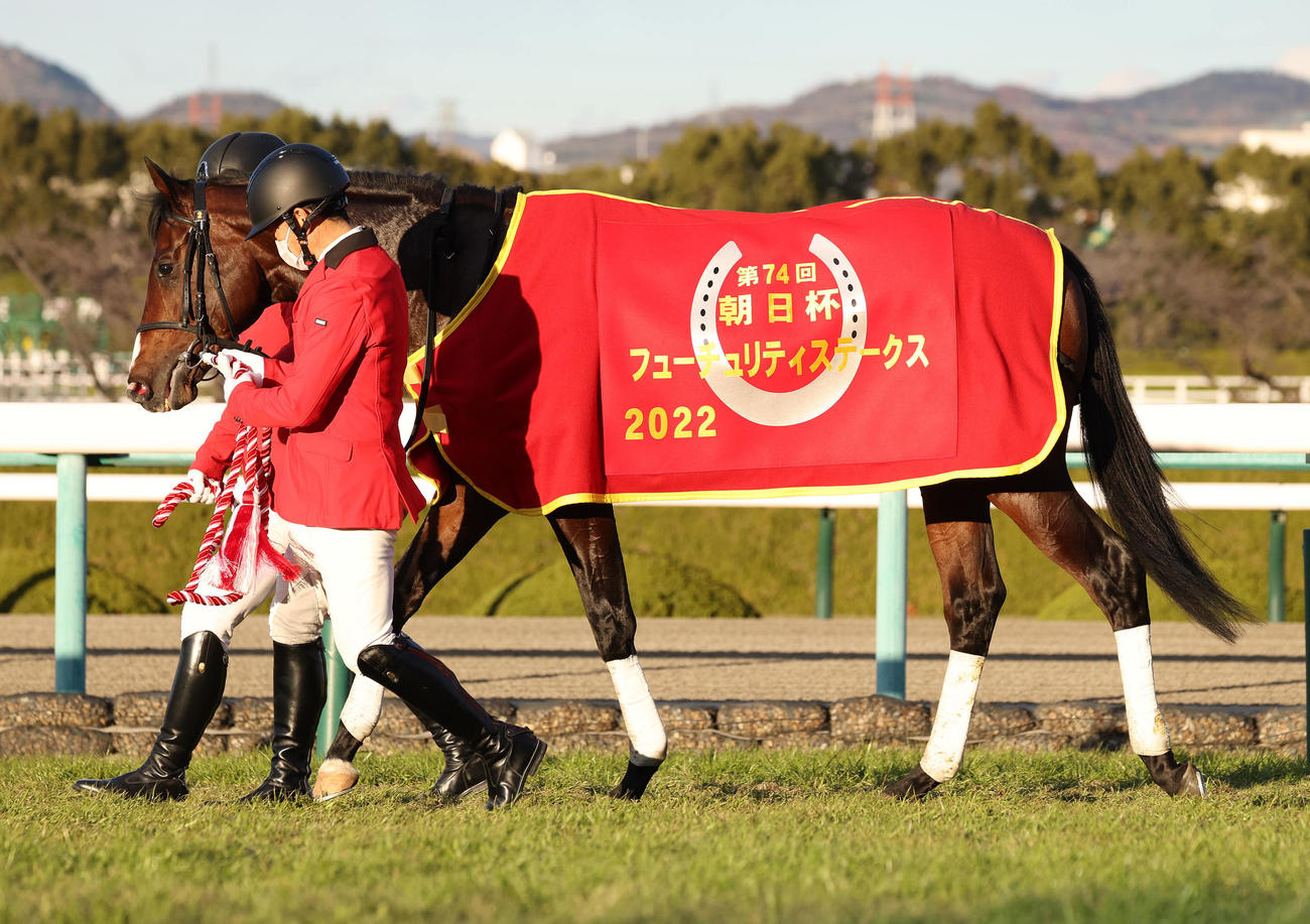 朝日杯FSを制したドルチェモア（2022年12月18日撮影）