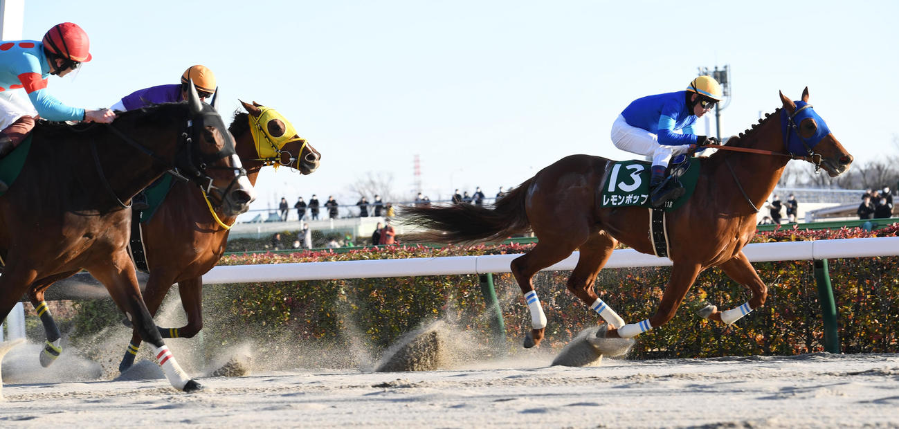 根岸Sを制したレモンポップ（右）（2023年1月29日撮影）