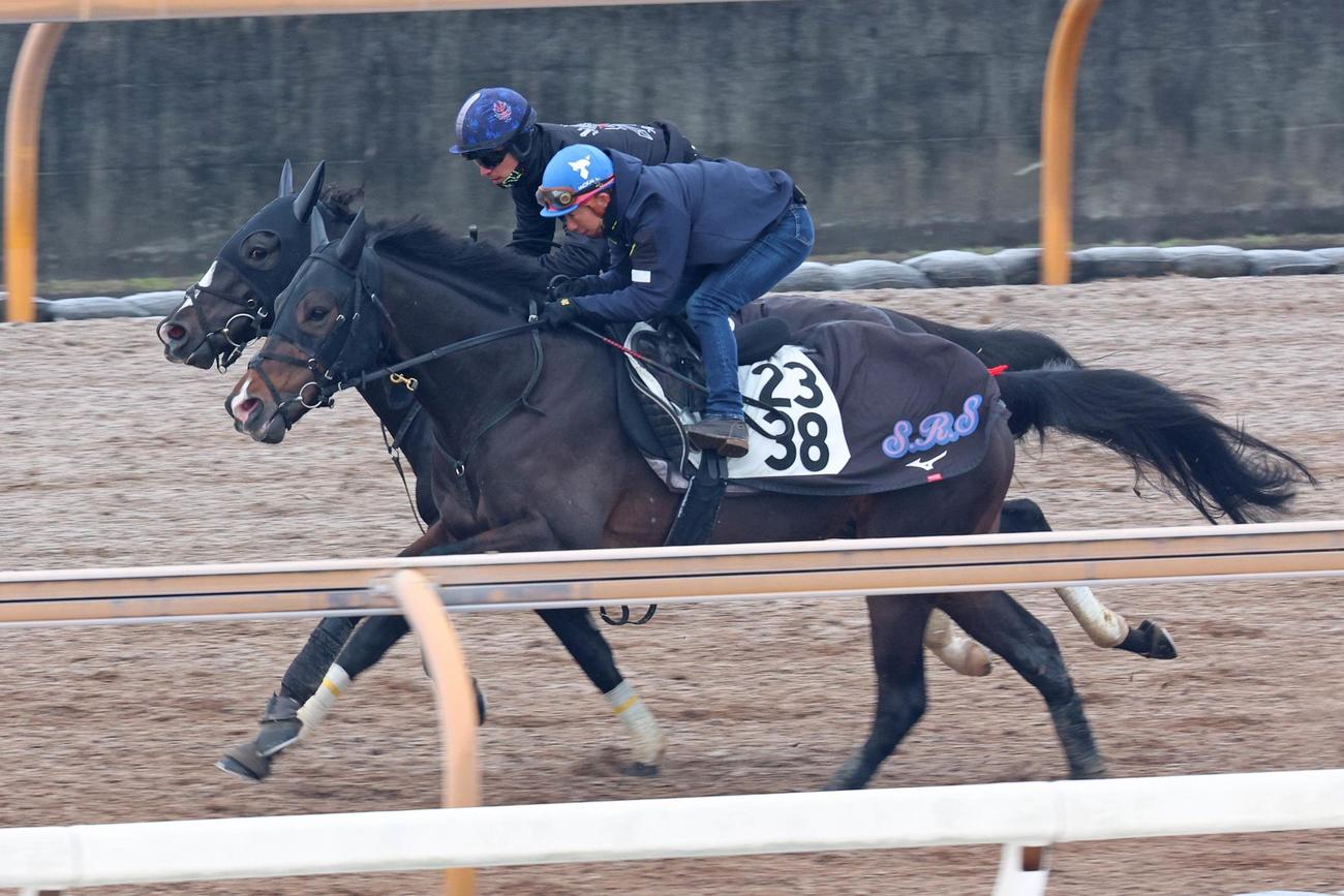 フリームファクシ（後方）はリューベック（手前）と馬体を併せて追い切る
