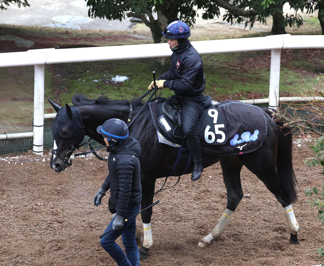 川田騎手を背に逍遥馬道で運動するフリームファクシ（撮影・白石智彦）