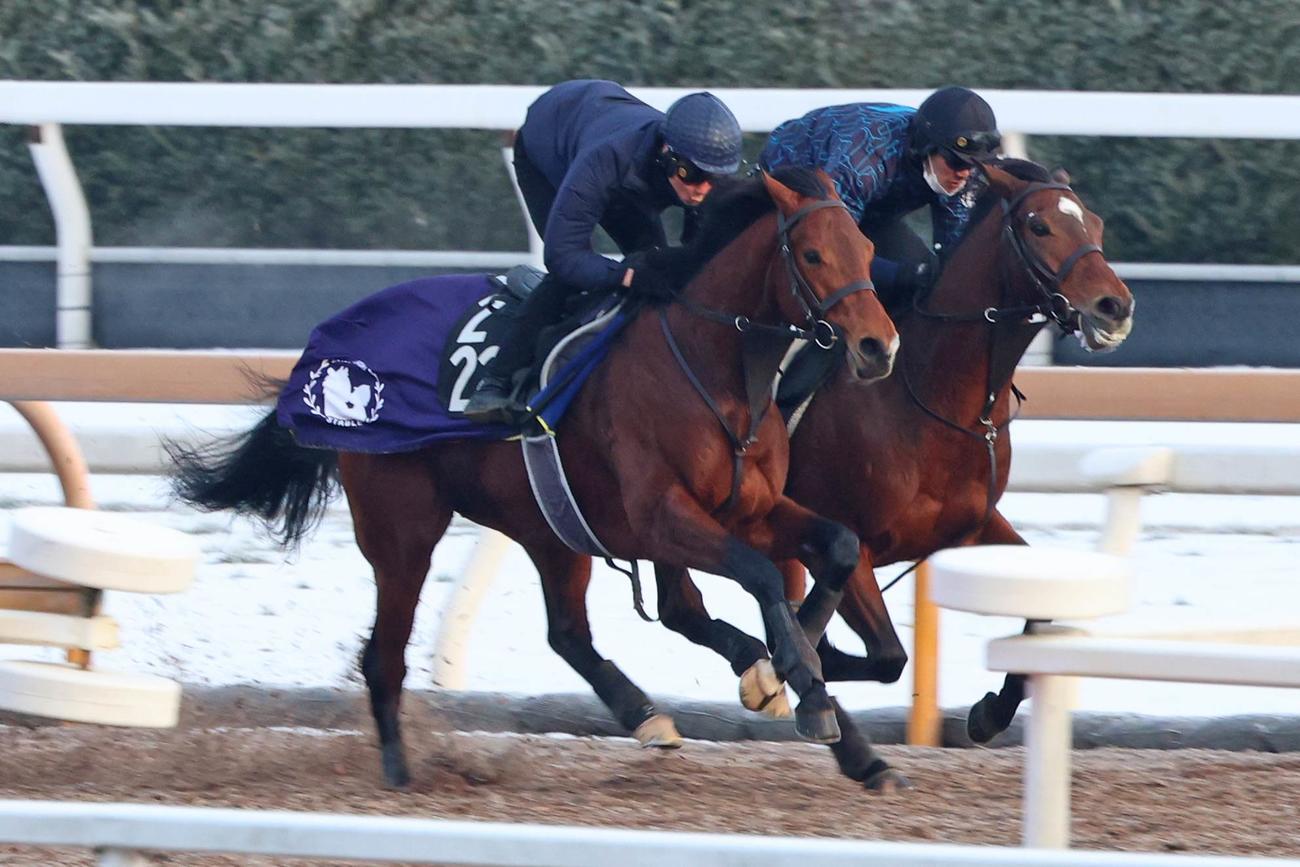 ムルザバエフ騎手が騎乗し、ヒンドゥタイムズ（右）と馬体を併せて追い切られたオープンファイア