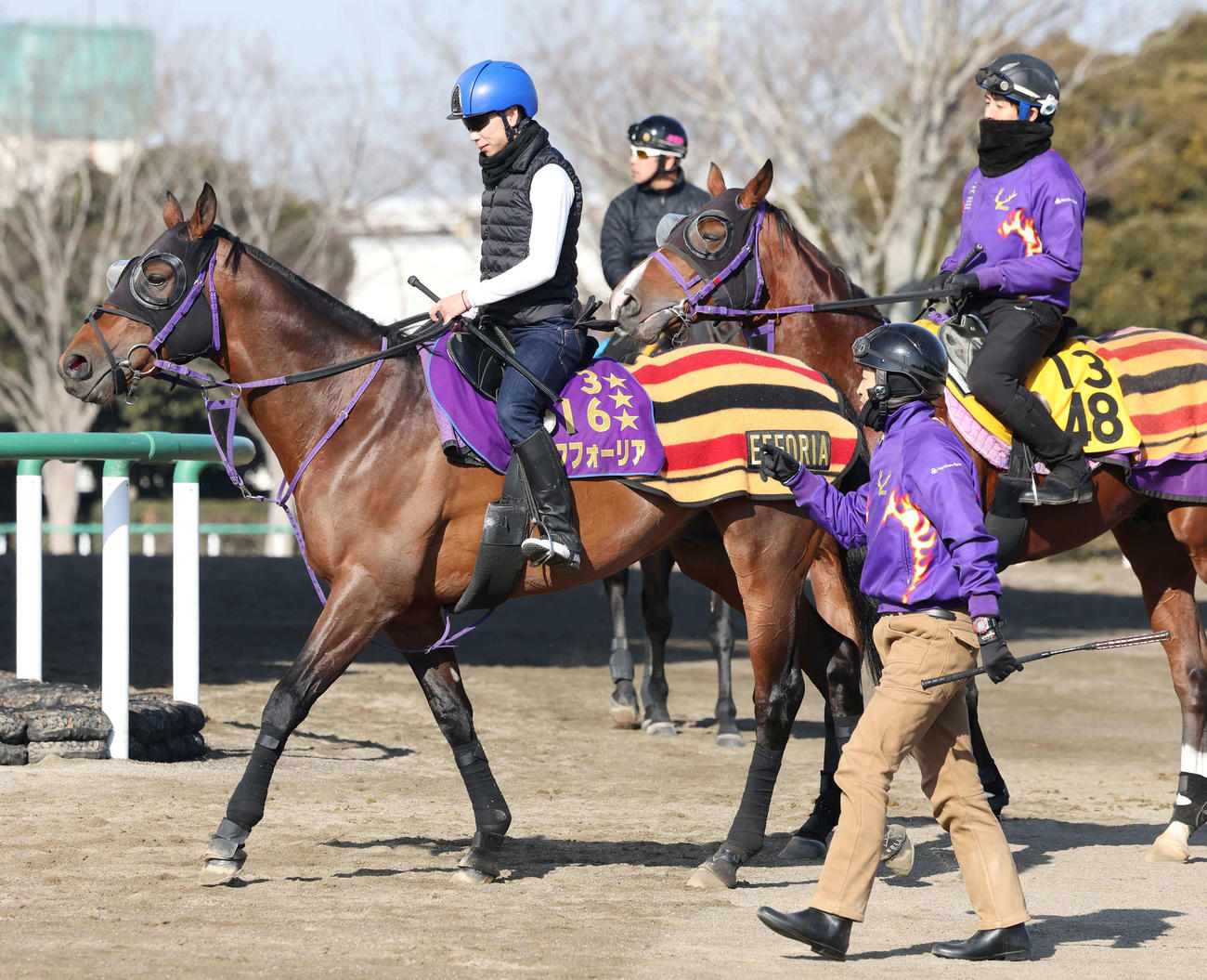 馬場へ向かうエフフォーリアと横山武騎手（撮影・丹羽敏通）