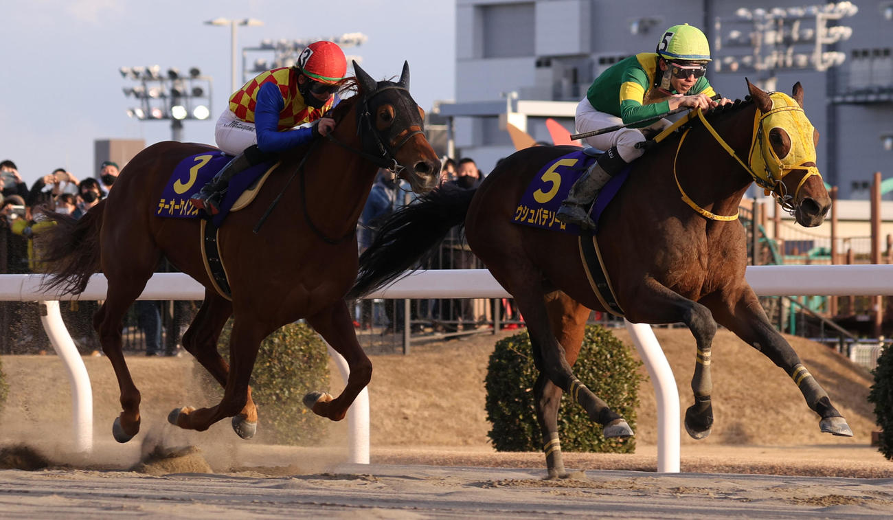 川崎記念を制した横山和騎手鞍上のウシュバテソーロ。左は2着のテーオーケインズ（撮影・中島郁夫）