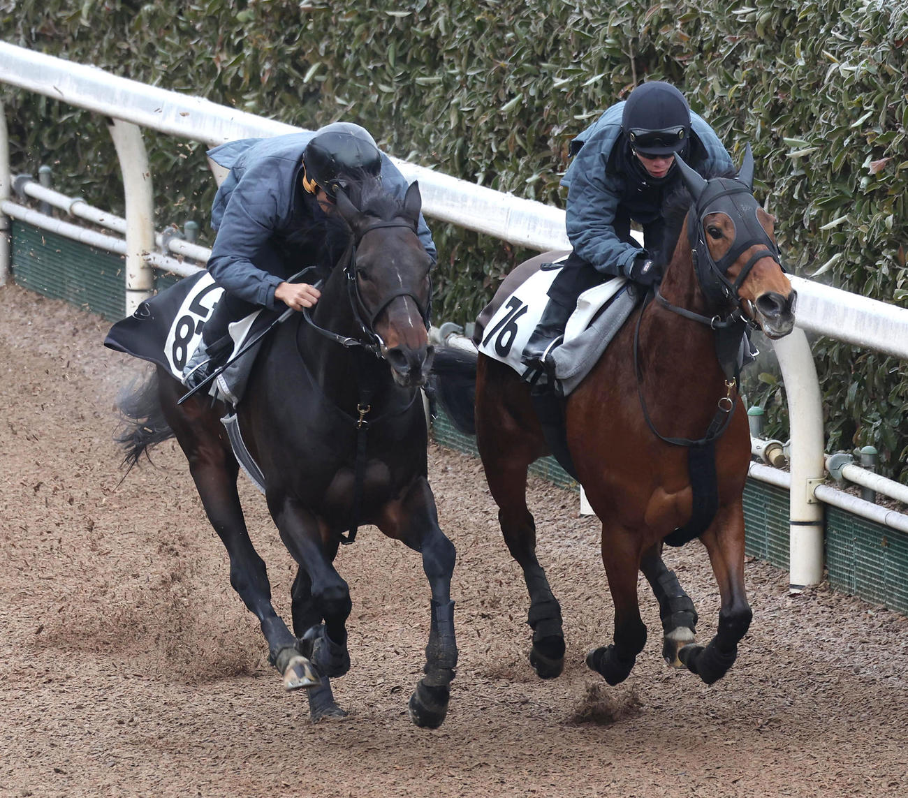坂路をアトミカ（右）と併せ馬で追い切るエアロロノア（撮影・白石智彦）