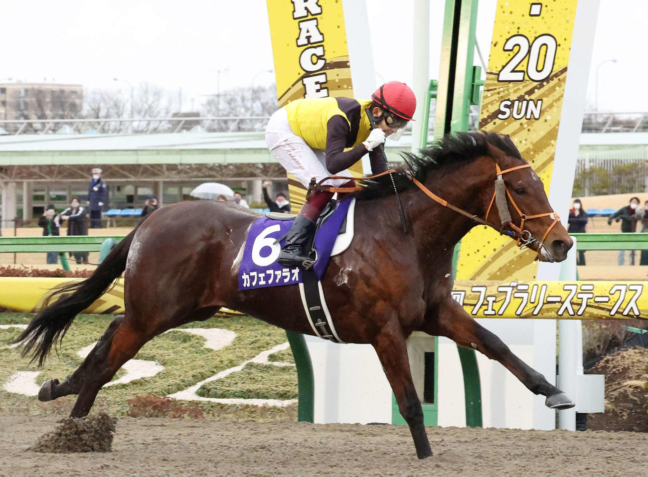 2022年2月20日、フェブラリーS連覇を達成したカフェファラオ