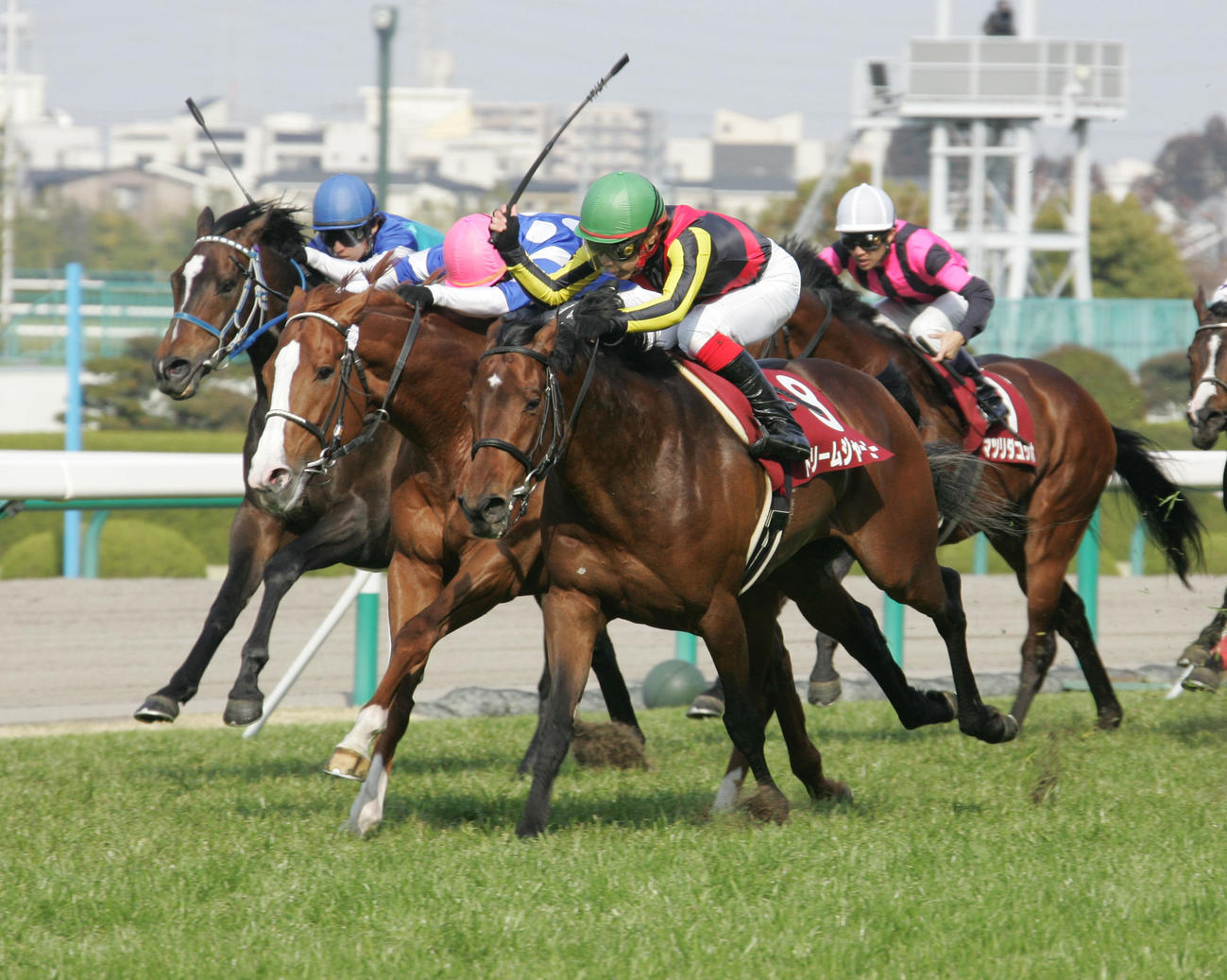 09年大阪杯でディープスカイとの叩き合いを制したドリームジャーニー