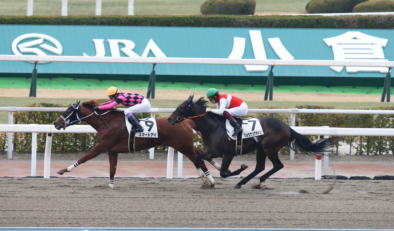 小倉1R、3歳未勝利で1着のスマートアイと武豊騎手（左）（撮影・屋方直哉）