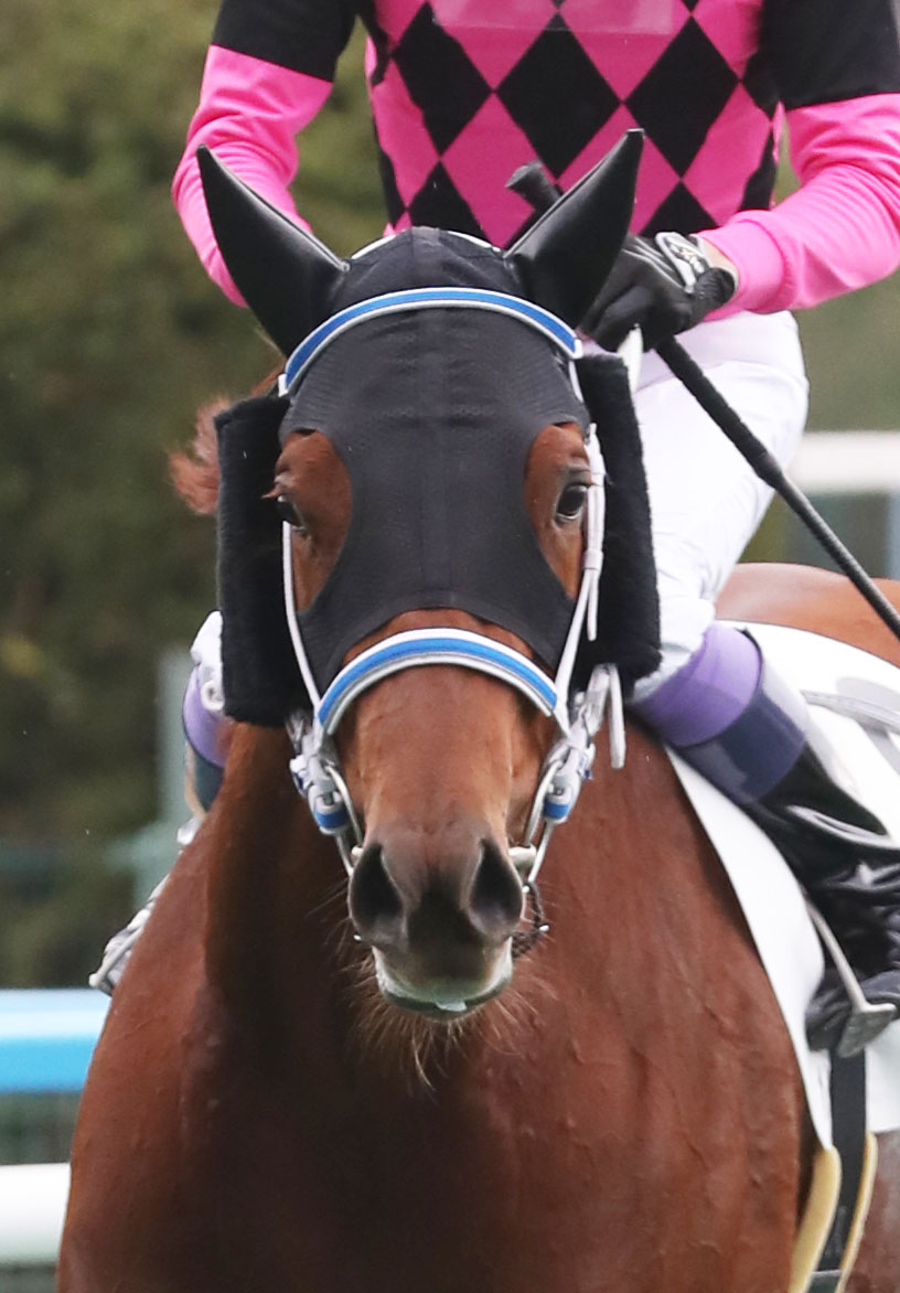 小倉1Rで1着となり、武豊騎手に通算4400勝をもたらしたスマートアイ（撮影・屋方直哉）