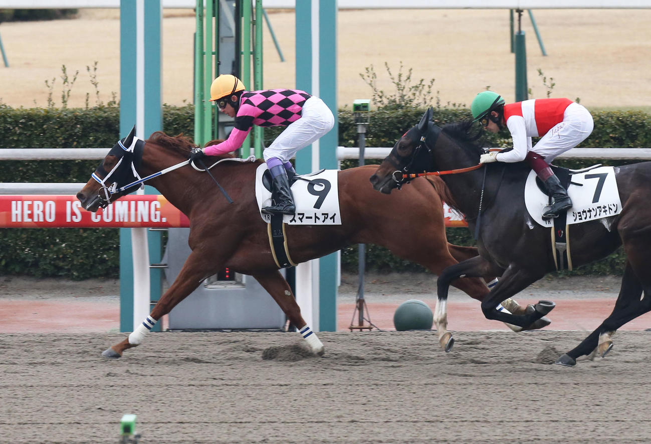 小倉1R、3歳未勝利で1着のスマートアイと武豊騎手（撮影・屋方直哉）