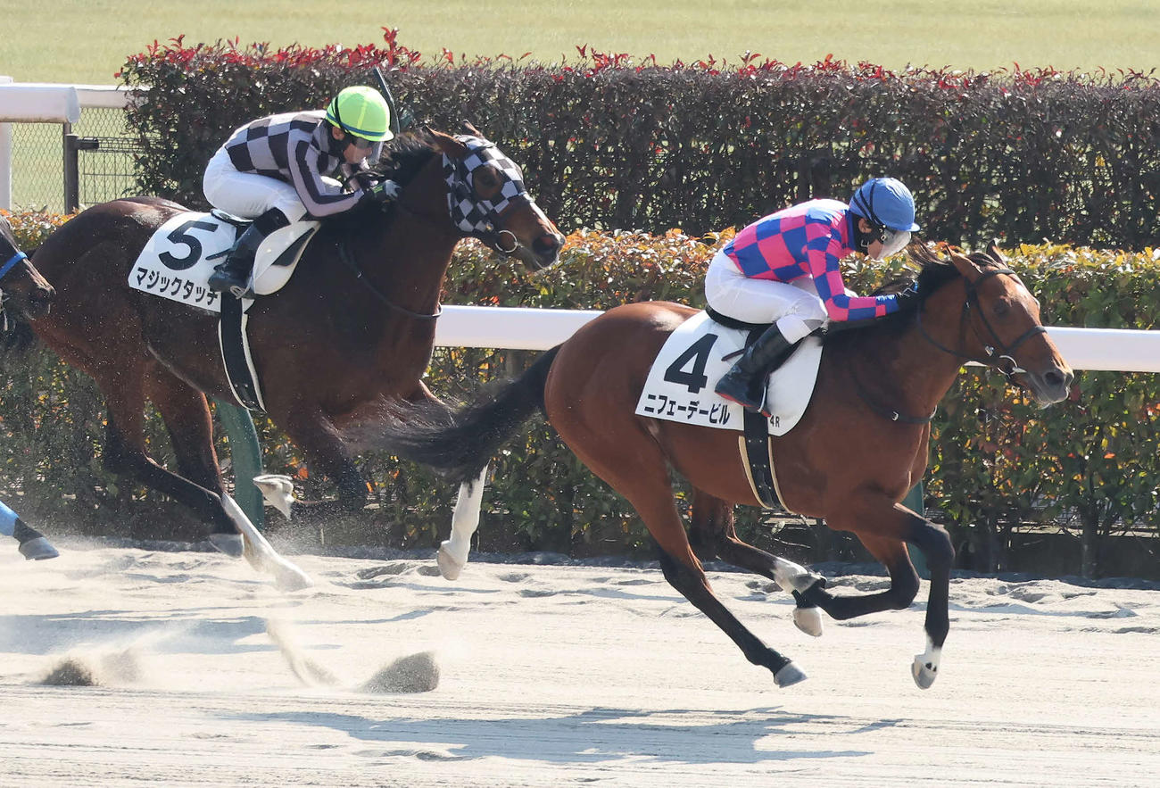 東京4R、3歳1勝クラスを制したニフェーデービルと田辺騎手（右）（撮影・丹羽敏通）