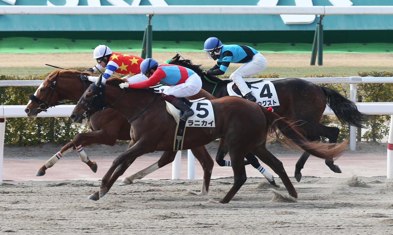小倉7Rで1着のサトミノマロンと武豊騎手（中央）（撮影・屋方直哉）