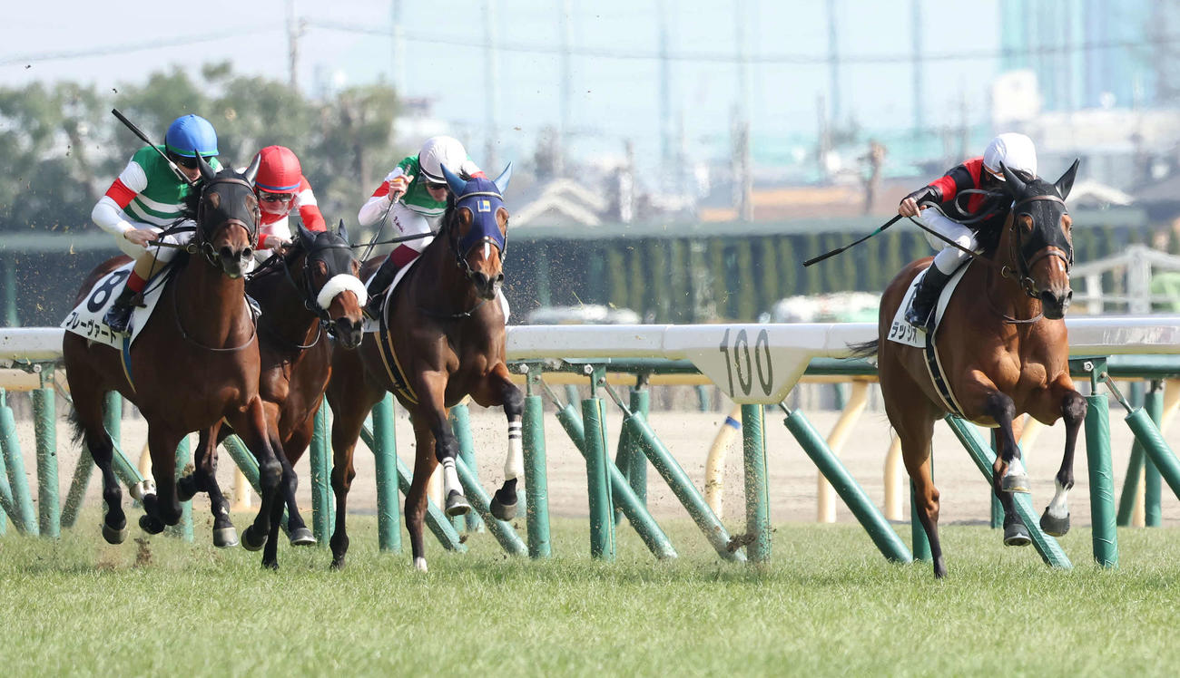 東京6R新馬戦を逃げ切ったラッジオと菅原明騎手（右）（撮影・丹羽敏通）