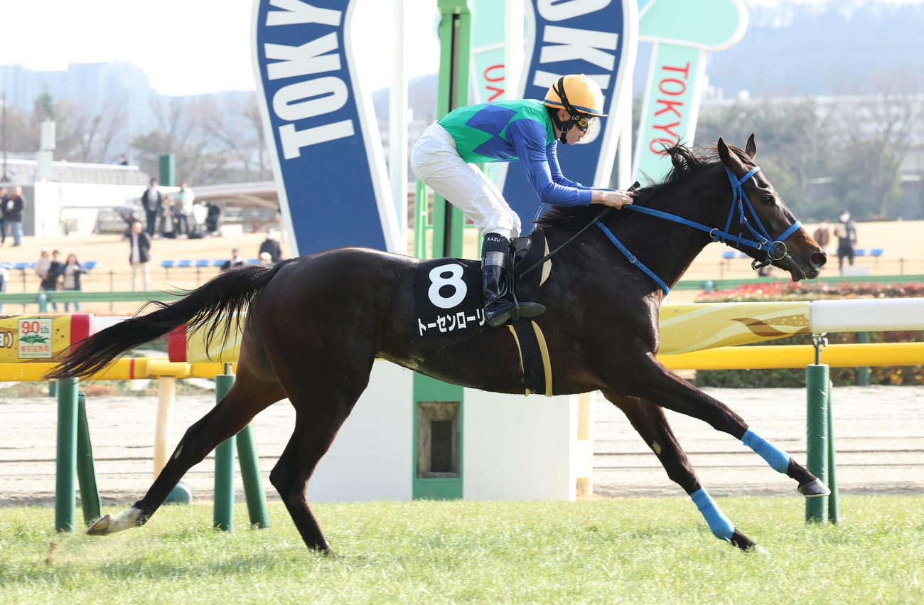東京9R、春菜賞を制したトーセンローリエと横山和騎手（撮影・丹羽敏通）