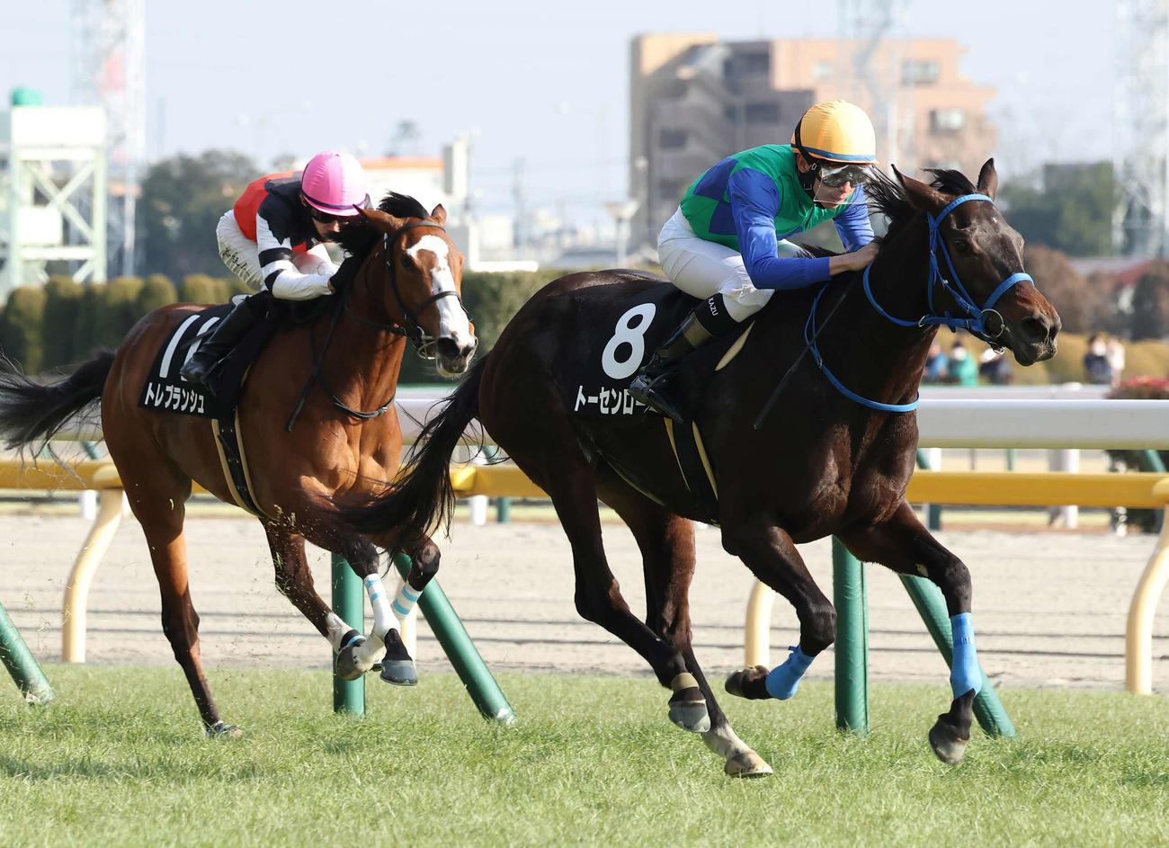 東京9R、春菜賞を制したトーセンローリエと横山和騎手（右）（撮影・丹羽敏通）
