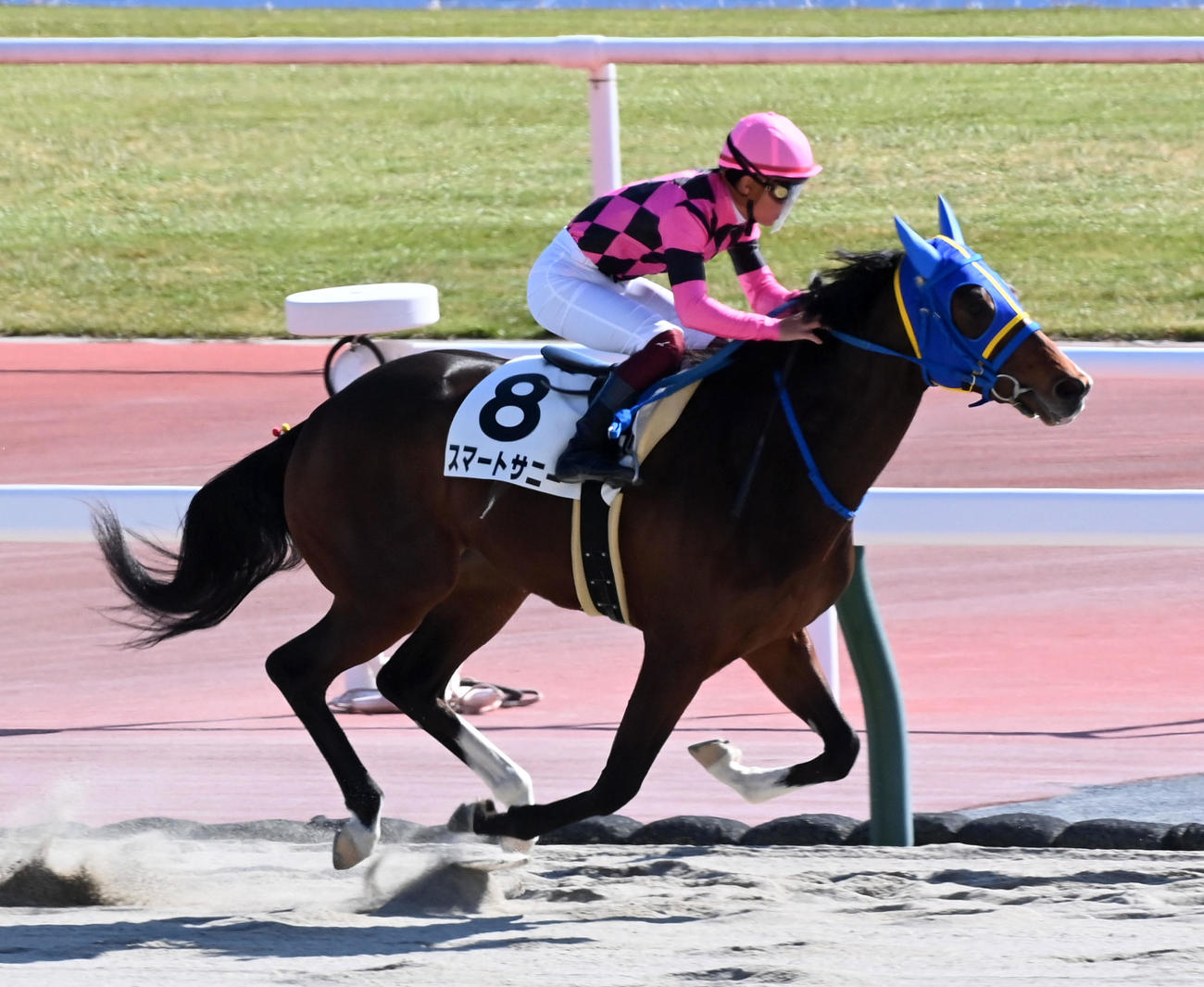 逃げて新馬戦を制したスマートサニー（撮影・前岡正明）