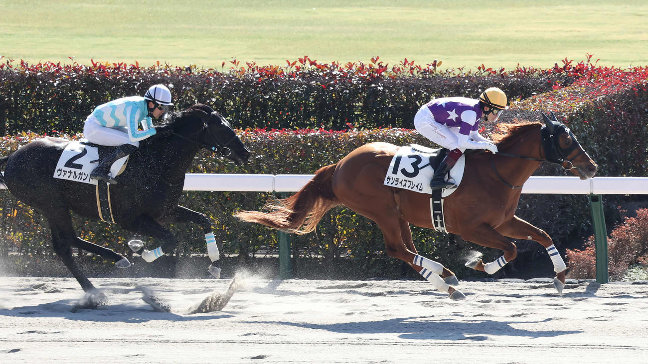 東京3R新馬戦を制したサンライズフレイムと福永騎手（右）（撮影・丹羽敏通）