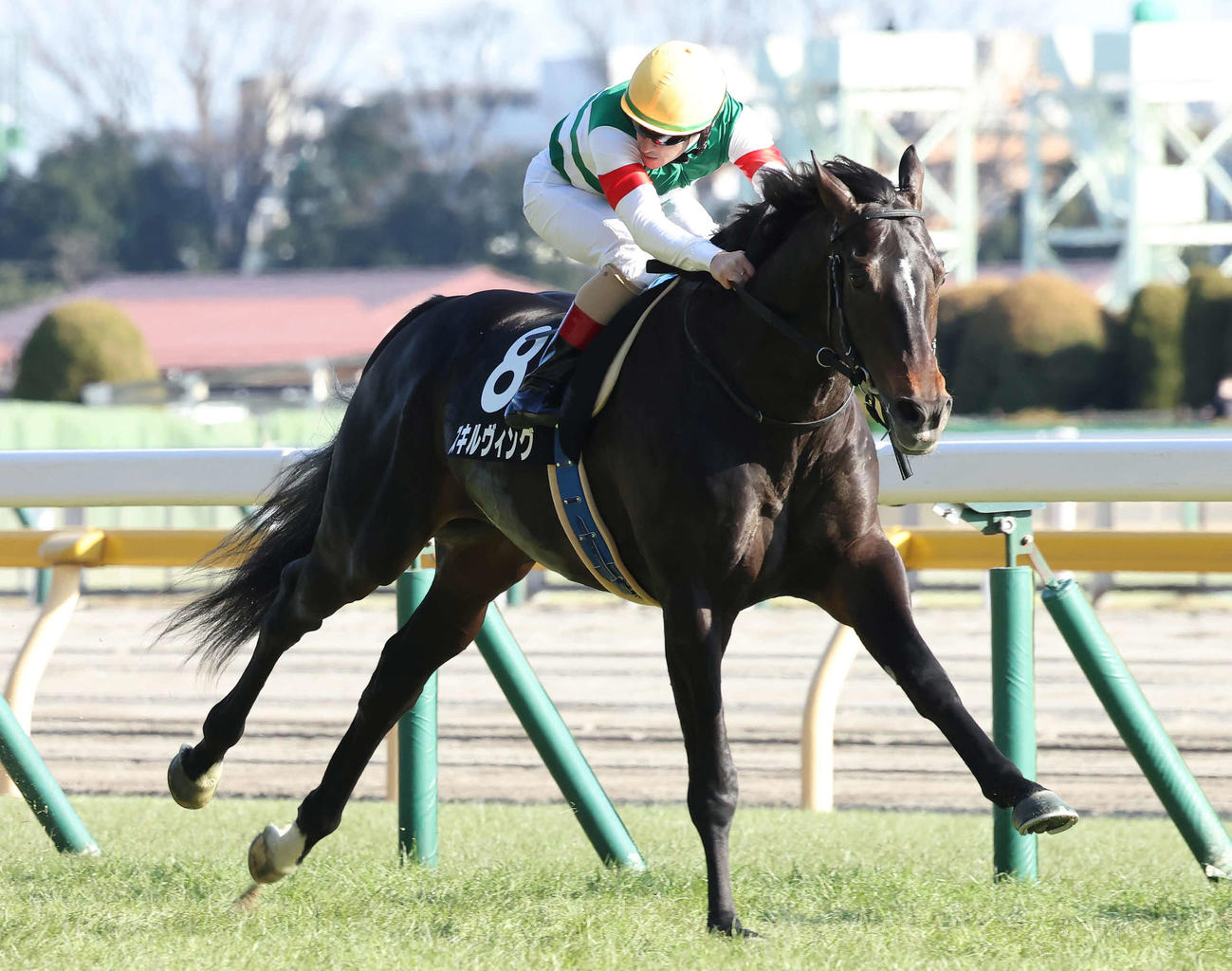 ゆりかもめ賞を制したスキルヴィングとルメール騎手は後ろを振り返る（撮影・丹羽敏通）