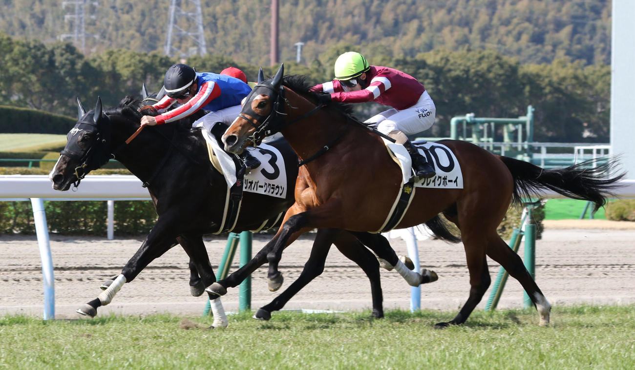 小倉新馬戦1着のジオパーククラウン（奥）（撮影・屋方直哉）