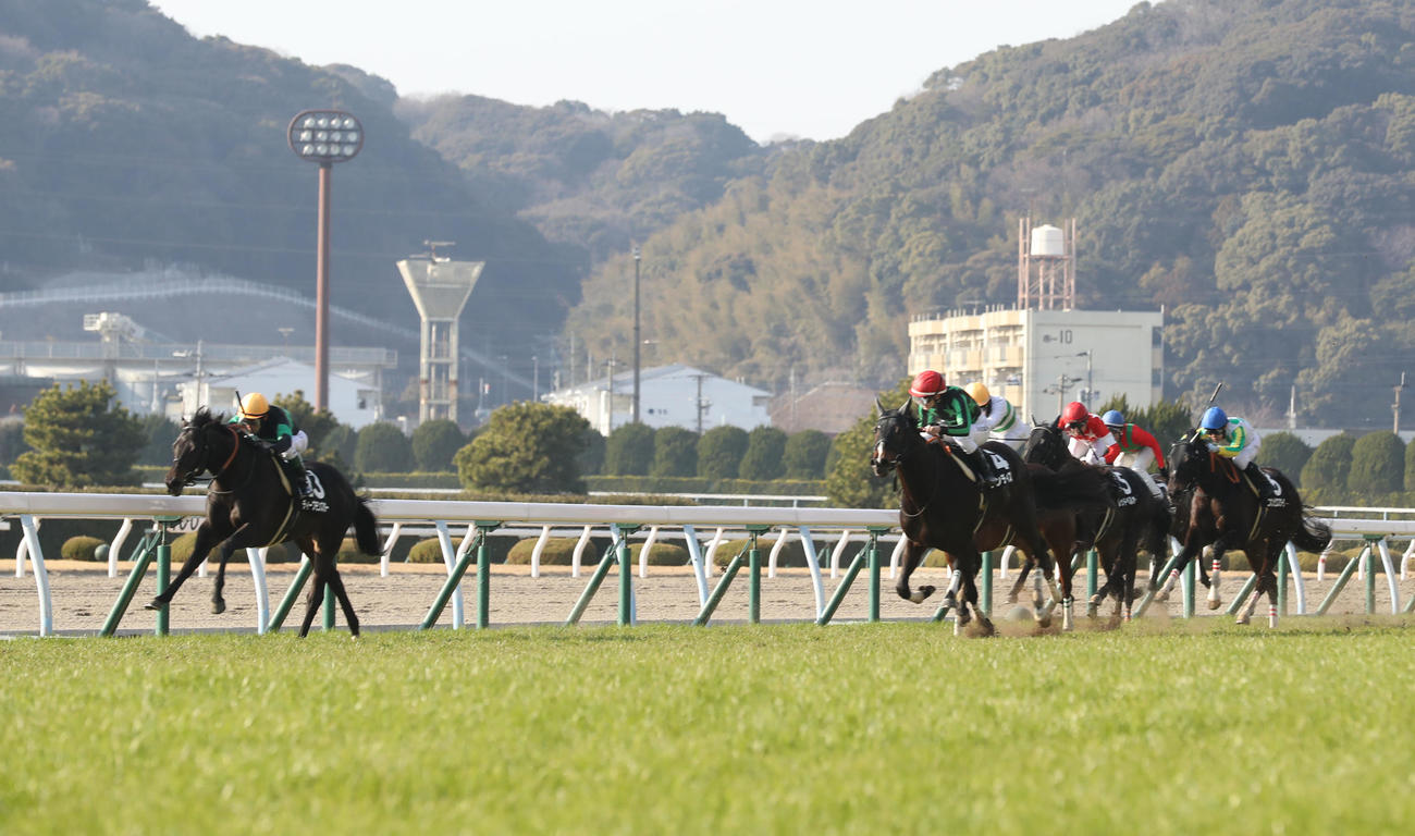 関門橋Sを制したディープモンスター（撮影・屋方直哉）