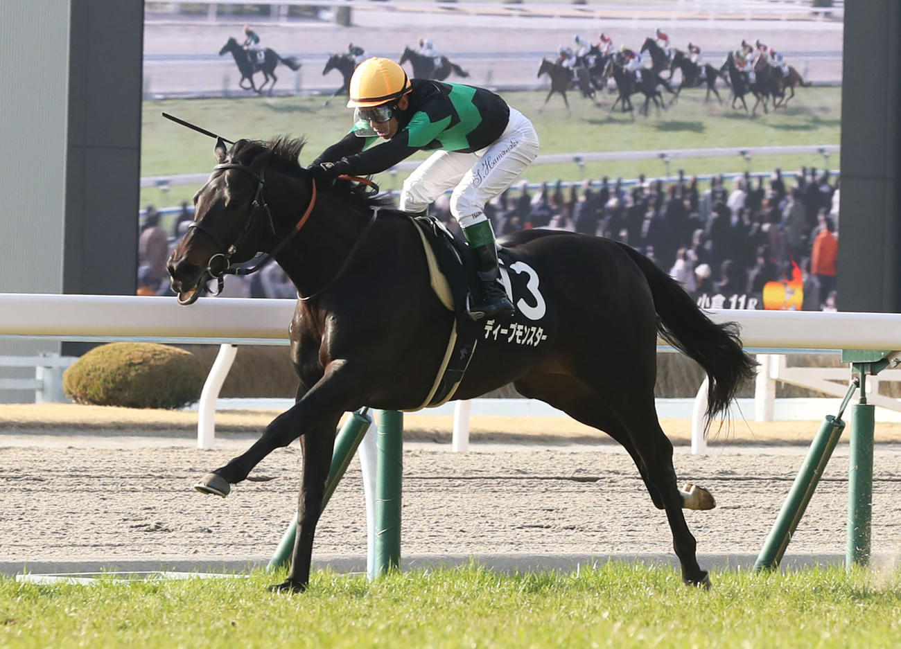 浜中俊騎乗ディープモンスターが関門橋Sを制した（撮影・屋方直哉）