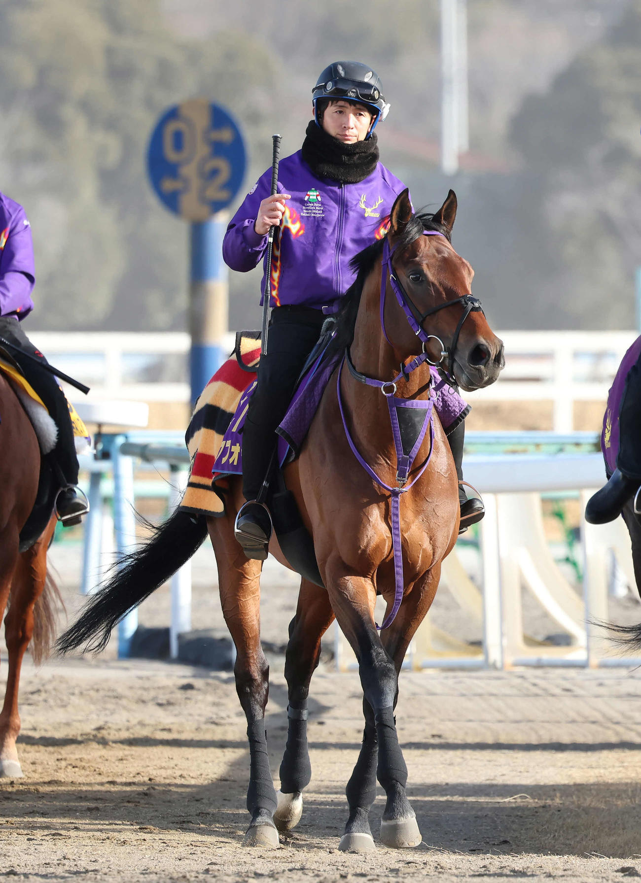 調教を終えて馬場を出るエフフォーリア（2023年2月2日撮影）