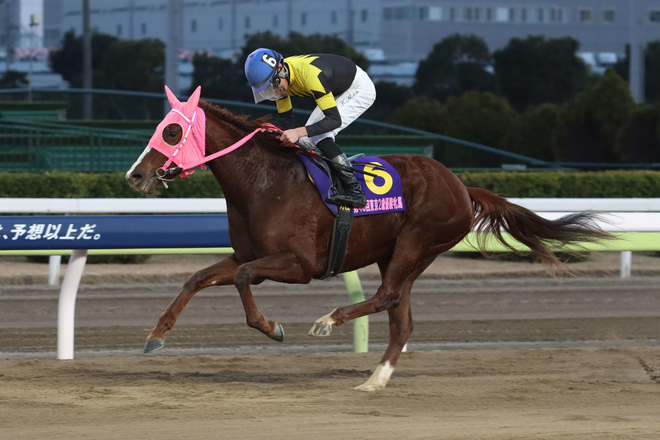 東京2歳優駿牝馬を制したメイドイットマム（2022年12月31日撮影）
