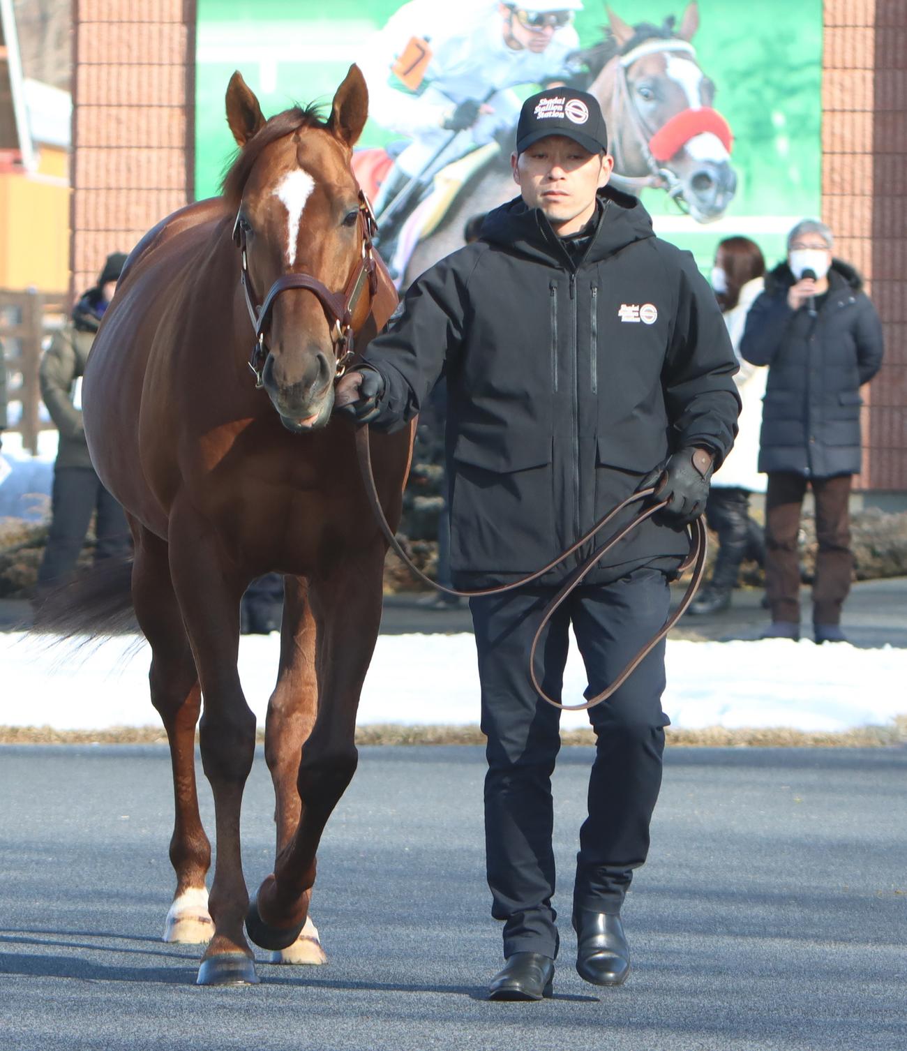 初お披露目されたサリオス。右奥は応援に駆けつけた堀師（撮影・奥村晶治）