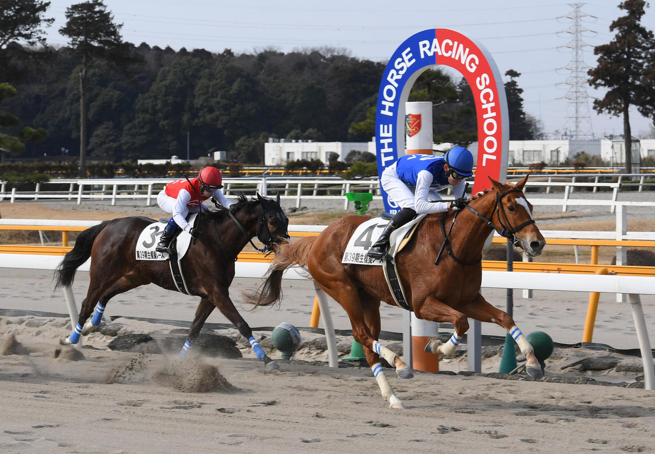 卒業記念模擬レースでワンダーヴィーヴルの小林勝太騎手（右）は3連勝を決めた、2着ショウナンワオンの佐藤翔馬騎手（撮影・柴田隆二）