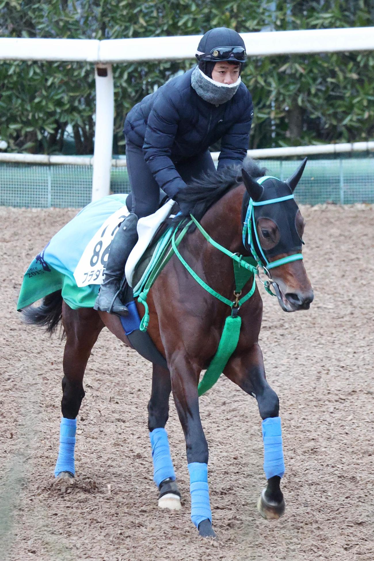 池添学調教師が調教をつけるプラダリア