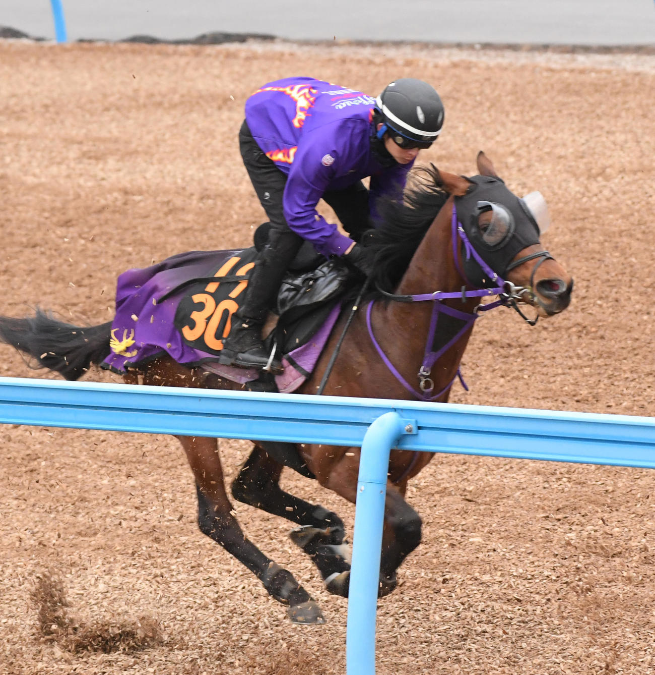 レイベリングは2頭併せで追い切る（撮影・柴田隆二）
