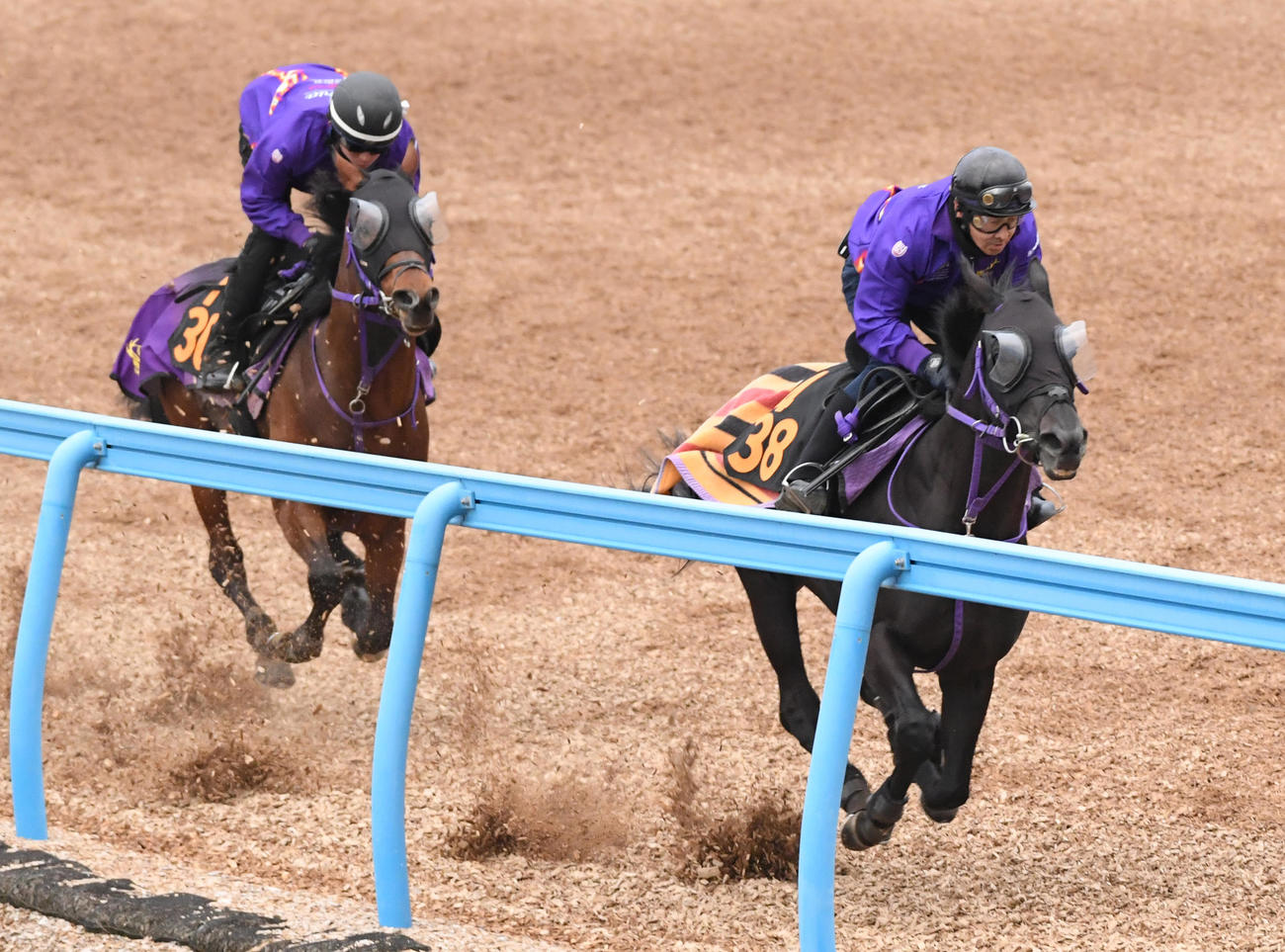 レイベリング（左）はクロスライセンスと併せで追い切る（撮影・柴田隆二）