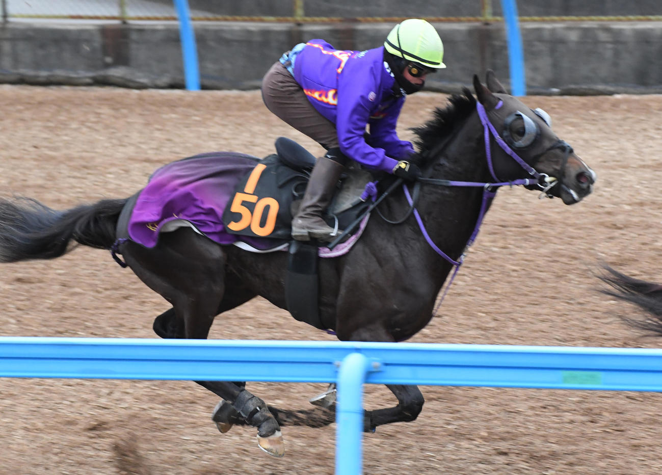 ウインオーディンはヴィアメントと併せで追い切る（撮影・柴田隆二）