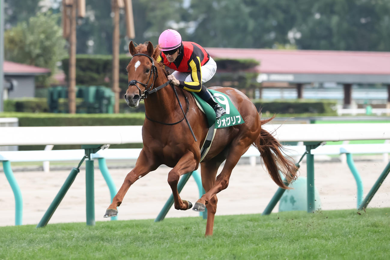 札幌2歳Sを制したジオグリフとルメール騎手（2021年9月4日撮影）