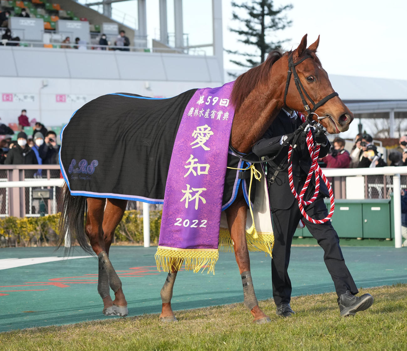愛知杯を制したルビーカサブランカ（2022年1月15日撮影）