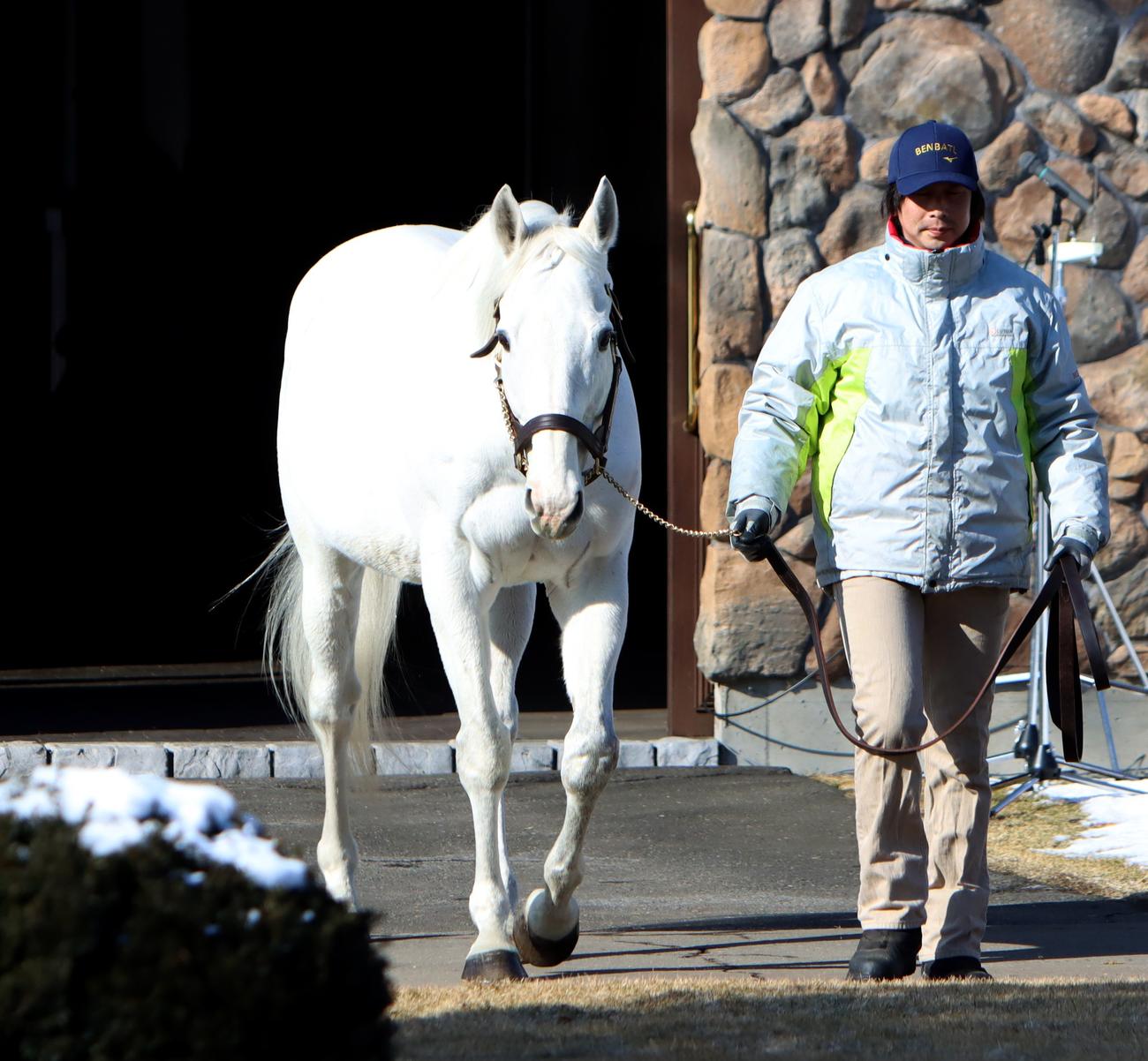 ビッグレッドファーム　2023年種牡馬展示会　ゴールドシップ（撮影・奥村晶治）