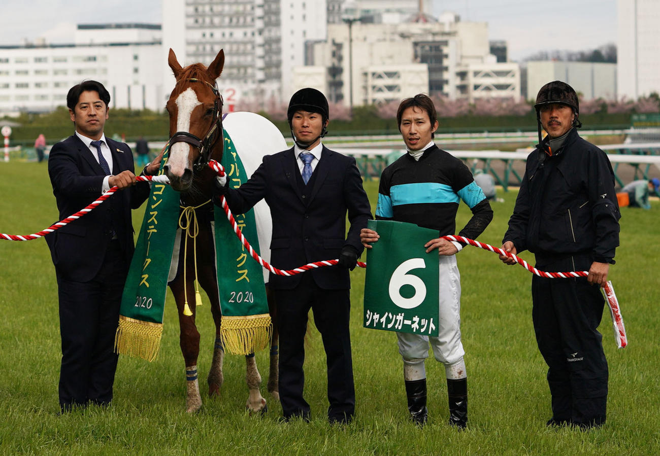 ファルコンSを制したシャインガーネット（2020年3月14日撮影）