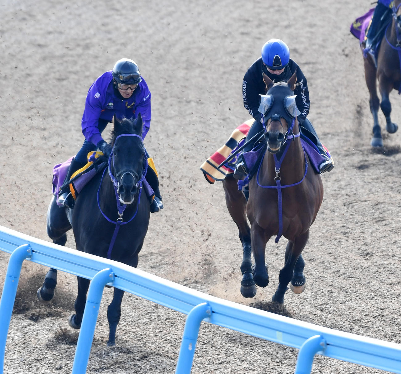 エフフォーリア（右）はマイネルミュトスと併せて追い切る（撮影・柴田隆二）