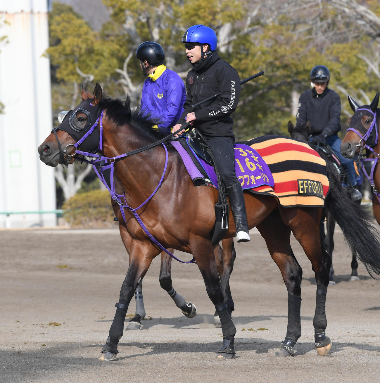 調教に向かうエフフォーリアと横山武史騎手（撮影・柴田隆二）