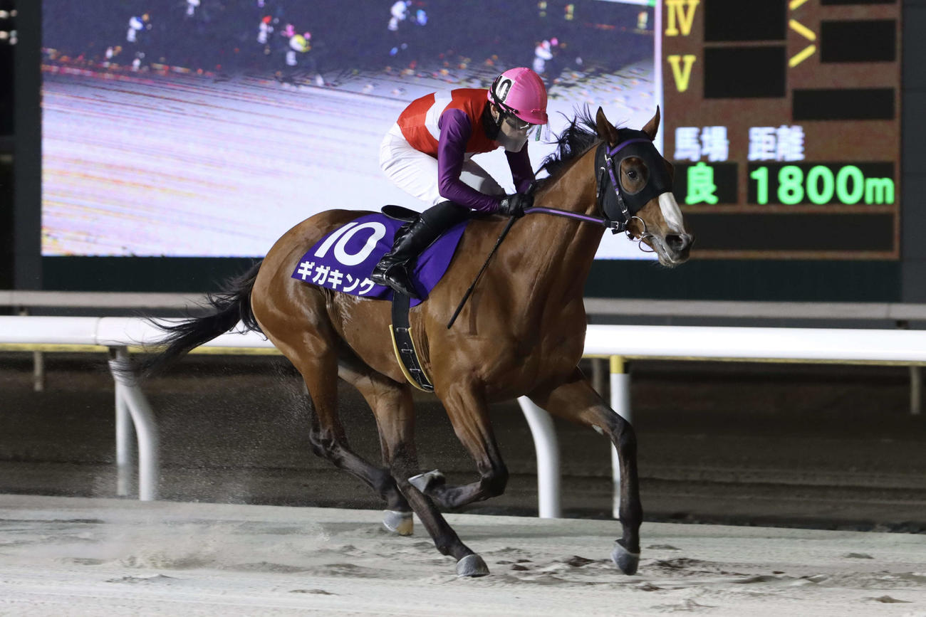 3番手から直線で抜け出し報知グランプリCを制したギガキングと和田譲治騎手