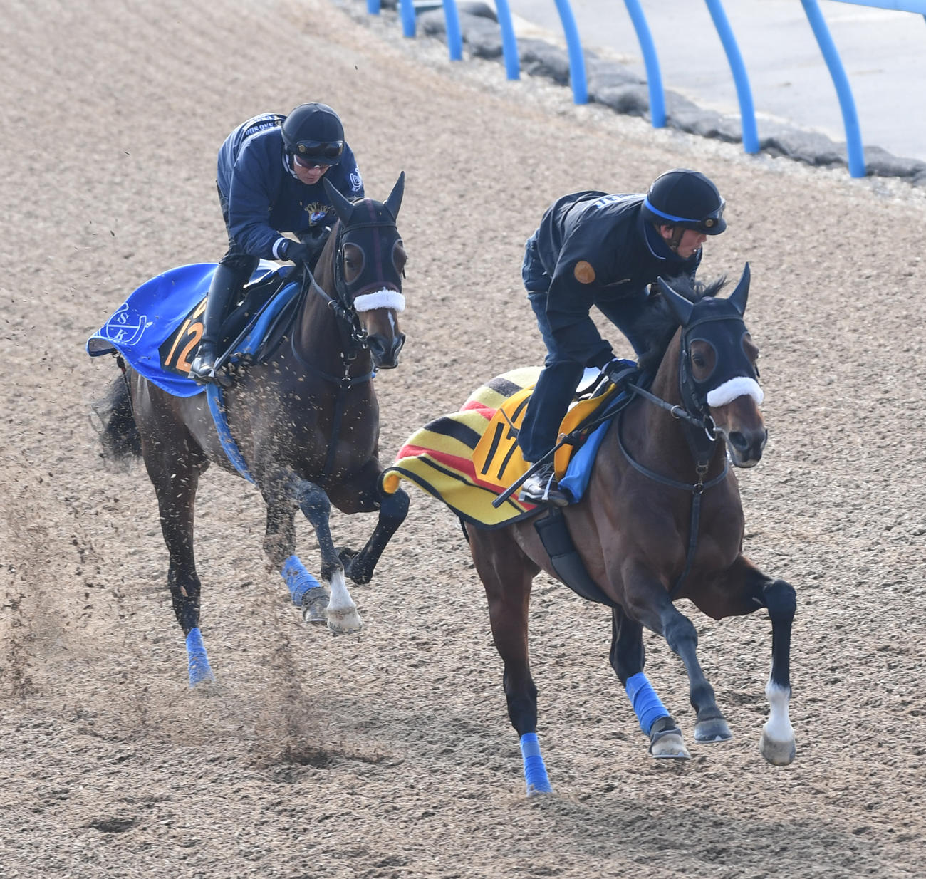 ダノンザタイガー（左）はサトノエルドールと併せて追い切る（撮影・柴田隆二）