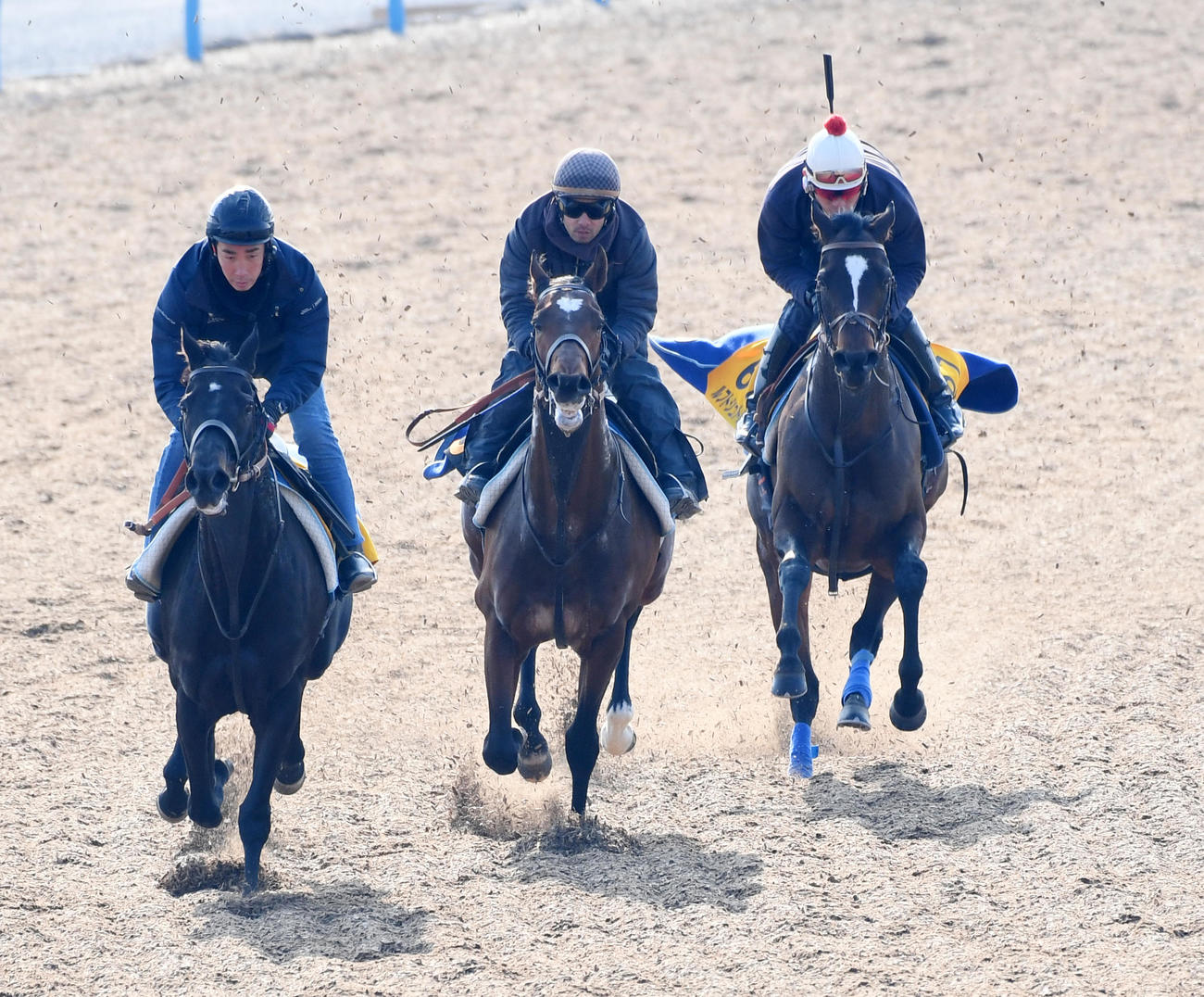 タスティエーラ（中央）はオハナ（左）、ルフトシュトロームと併せて追い切る（撮影・柴田隆二）