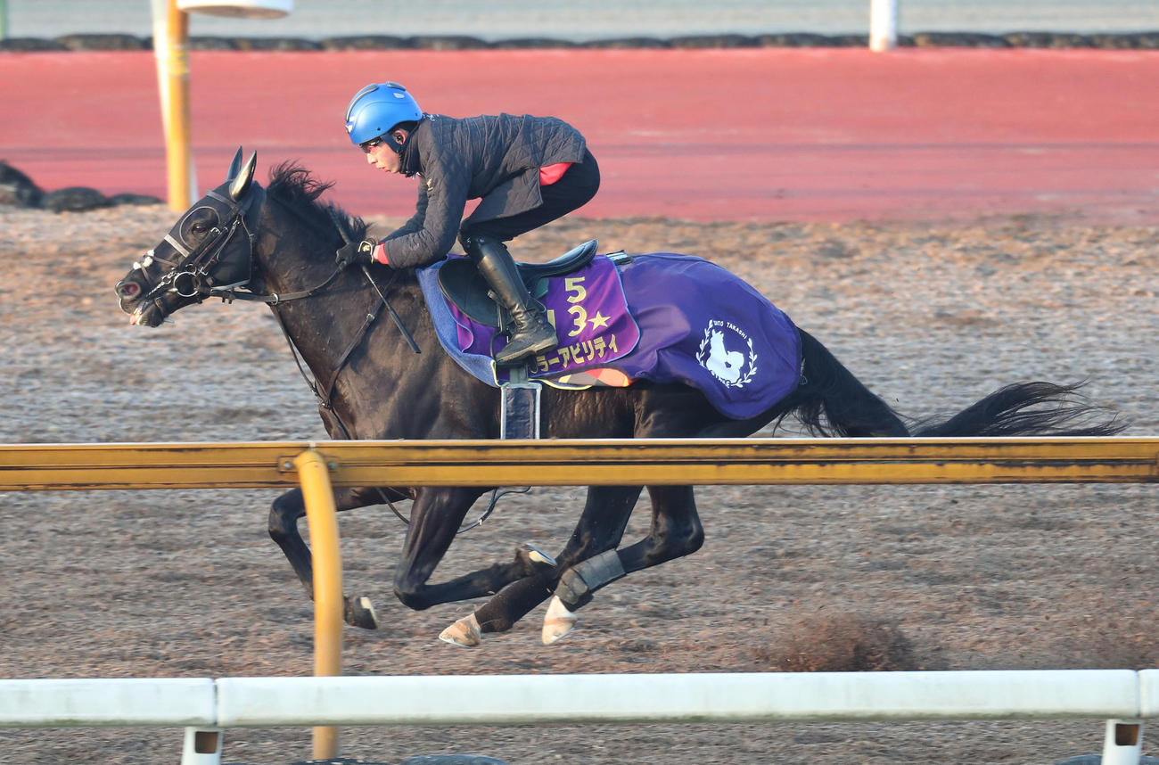 団野騎手を背にCウッドを単走で追い切るキラーアビリティ（撮影・白石智彦）