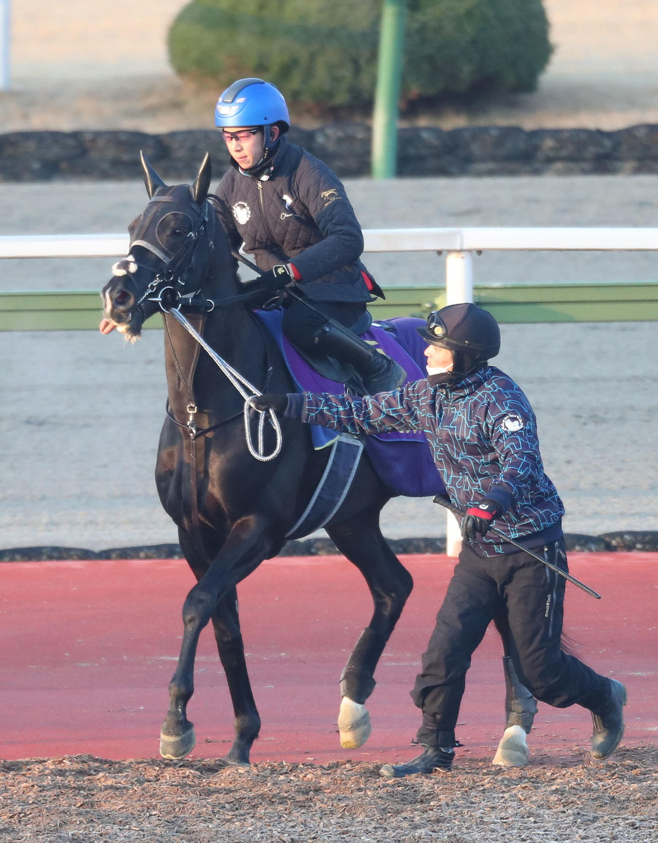 団野騎手を背に馬場入りするキラーアビリティ（撮影・白石智彦）