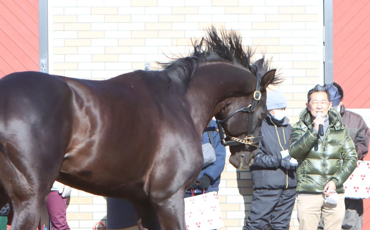 23年種牡馬展示会でグローリーヴェイズをPRする尾関師（右）（撮影・奥村晶治）