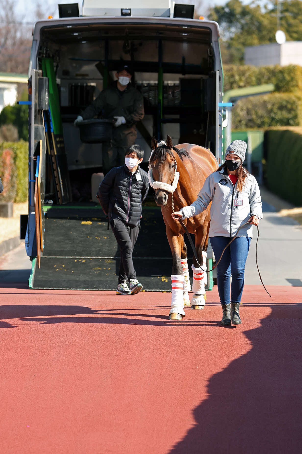 東京競馬場に到着したシャールズスパイト（C）JRA
