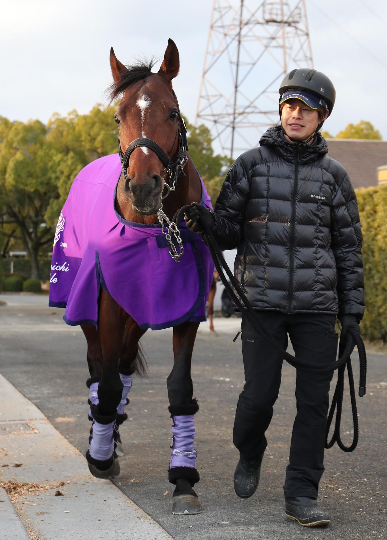 厩舎周りで運動するドウデュース（撮影・白石智彦）