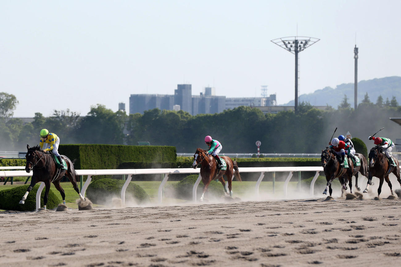 17年5月、平安Sを4馬身差で圧勝したグレイトパールと川田将雅騎手